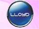 Fedders Lloyd Corporation