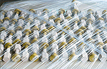 Track fastening plates