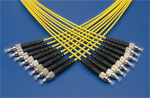 Several patch cables and loose tube cables on display