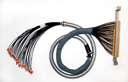 Tecsa Customized Harnesses