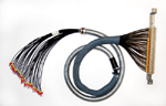 Tecsa Customized Harnesses