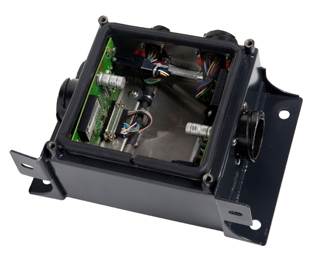Bogie variable monitoring system