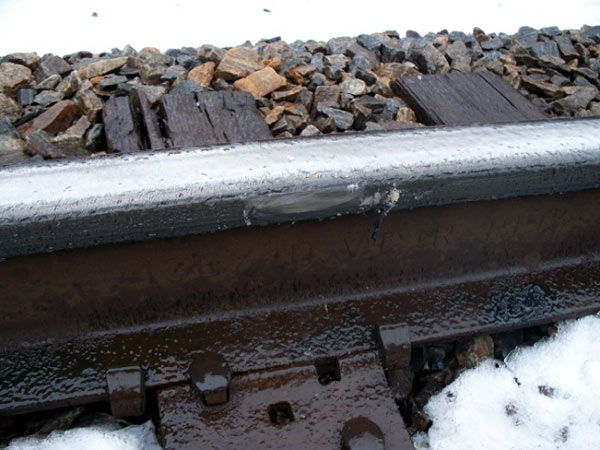 Biodegradable rail curve lubricant