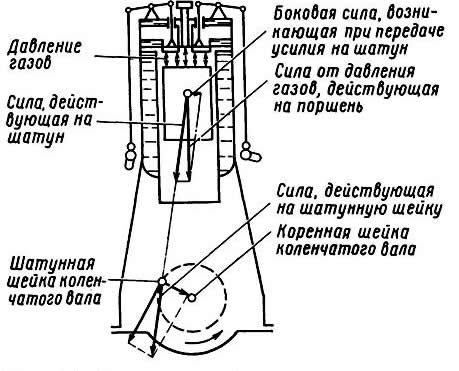 ���� �������