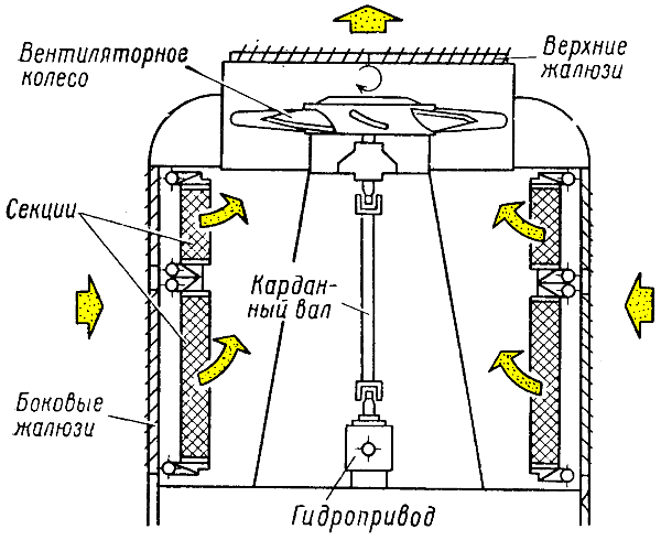 ����� ������������