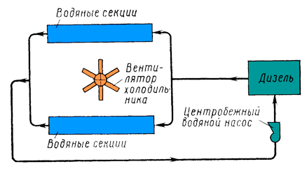 ����� ������� �������