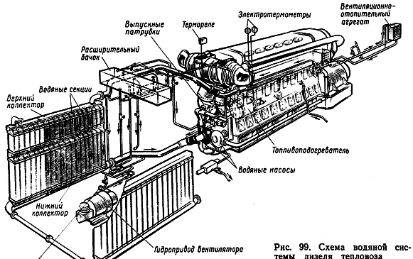 ����� ������� �������